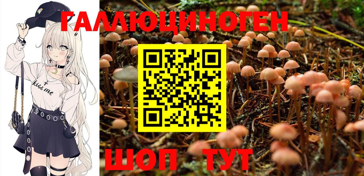Галлюциногенные грибы Magic Shrooms  Вход с VPN  Изобильный 